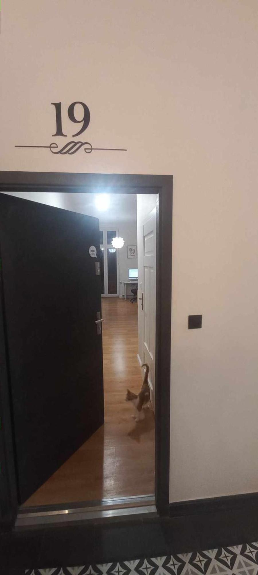 Apartamento Grudziadzkie Atelier Dla Podroznikow Exterior foto